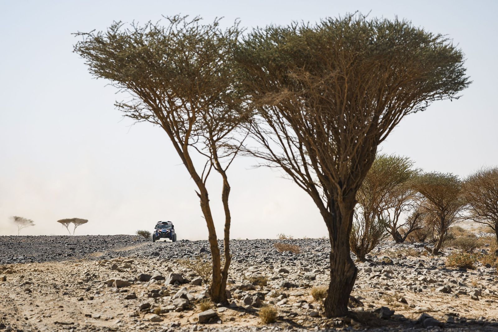 Las mejores fotos del Rally Dakar | Novena etapa