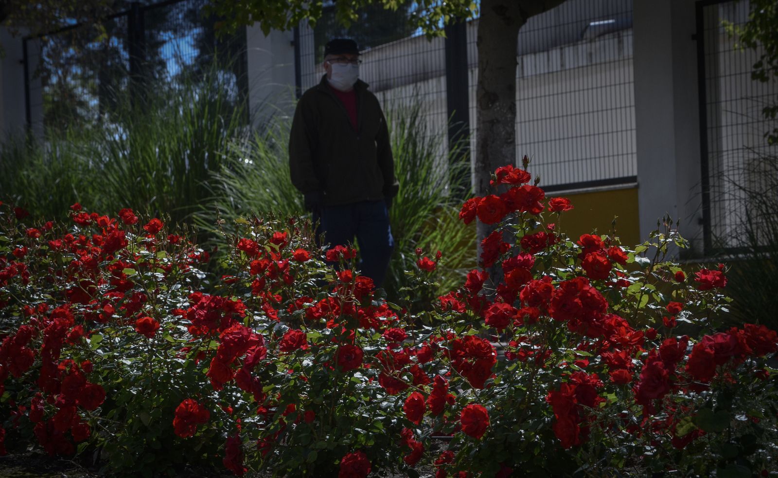La resistencia en los pueblos de Sevilla al Coronavirus: Aguadulce