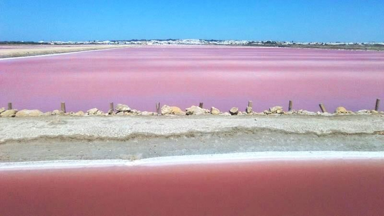 Las salinas rosadas que se pueden visitar en el Puerto de Santa María