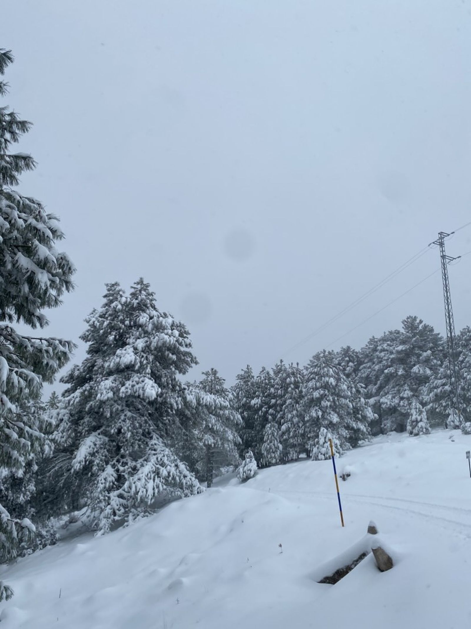 618277704_2757068421293036_5806409509349223337_n