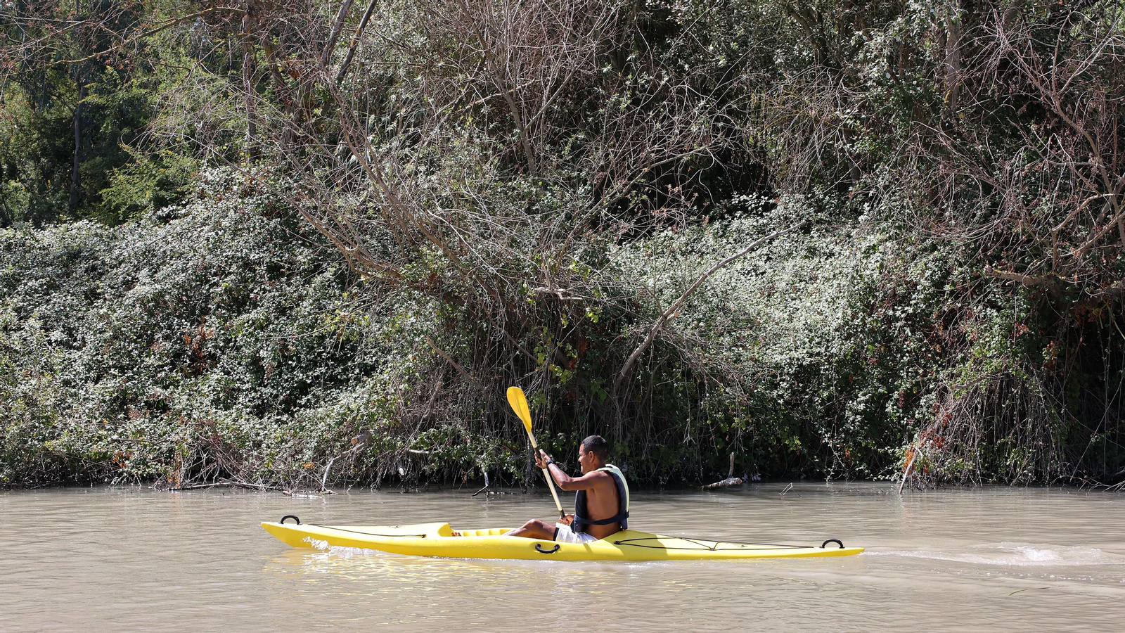 Paseo por el Guadalete en Kayak