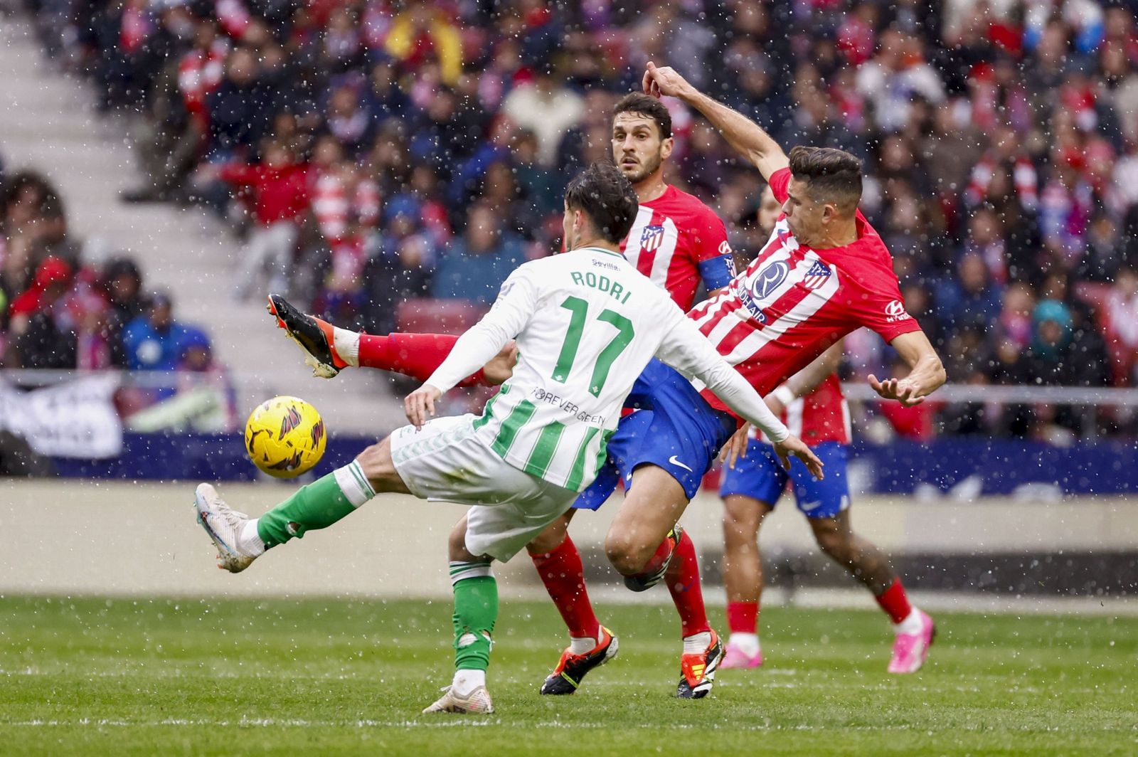 Las fotos del Atlético de Madrid - Betis