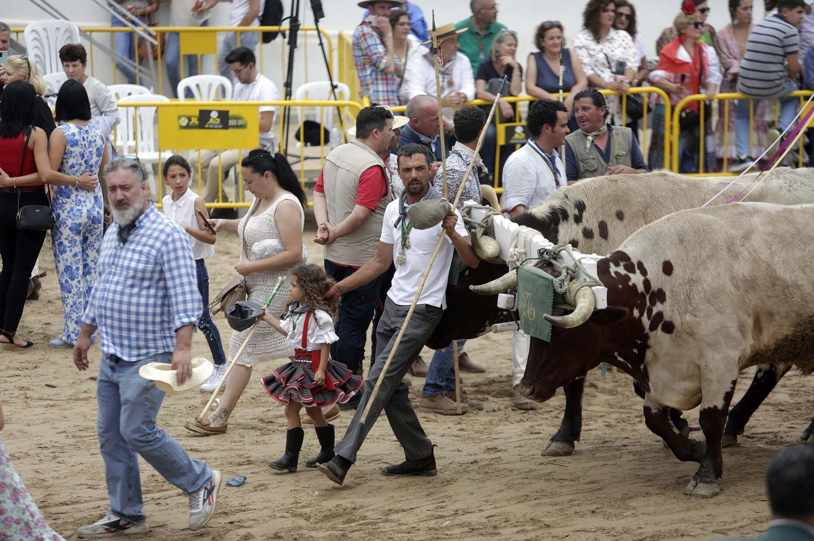 El Rocío 2023: Imágenes de ambiente y presentaciones de las Hermandades