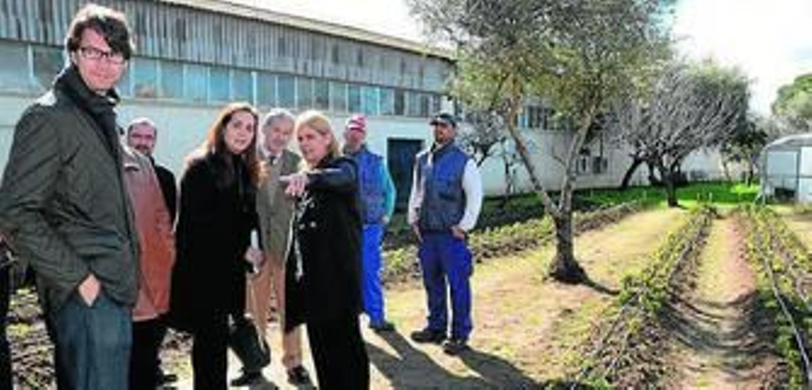 María José García-Pelayo observando ayer la plantación.