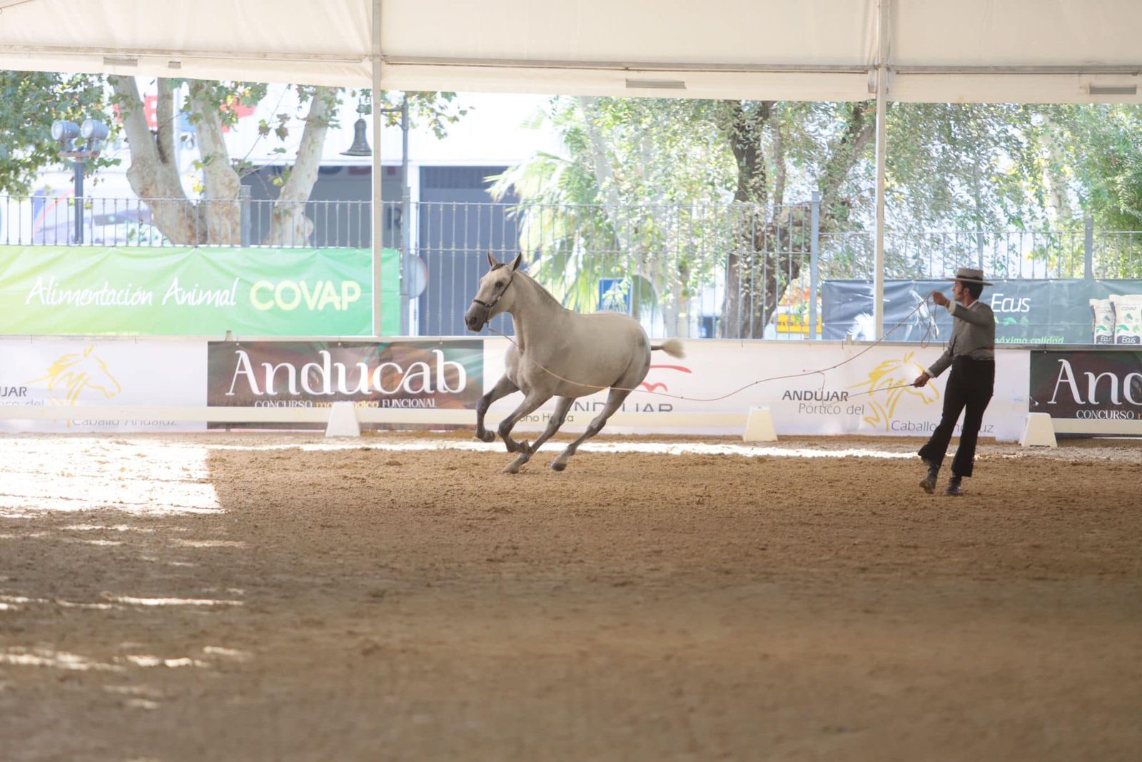 Así es el bello concurso de caballos de Andújar, en imágenes
