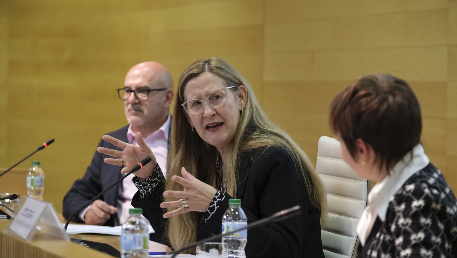 Imágenes del Diario de los Libros con la escritora ganadora del Premio Planeta 2022, Luz Gabás