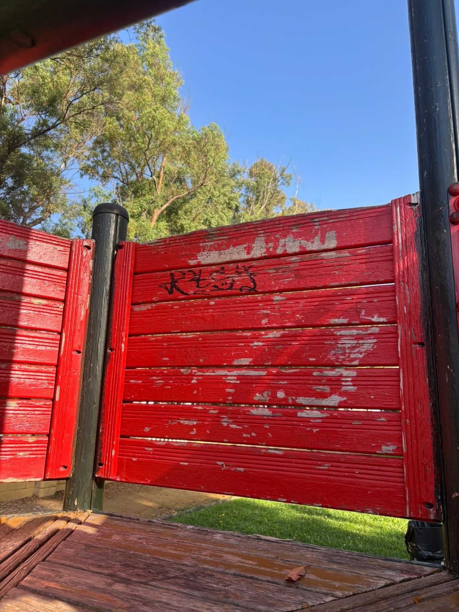 Pintadas en el parque.