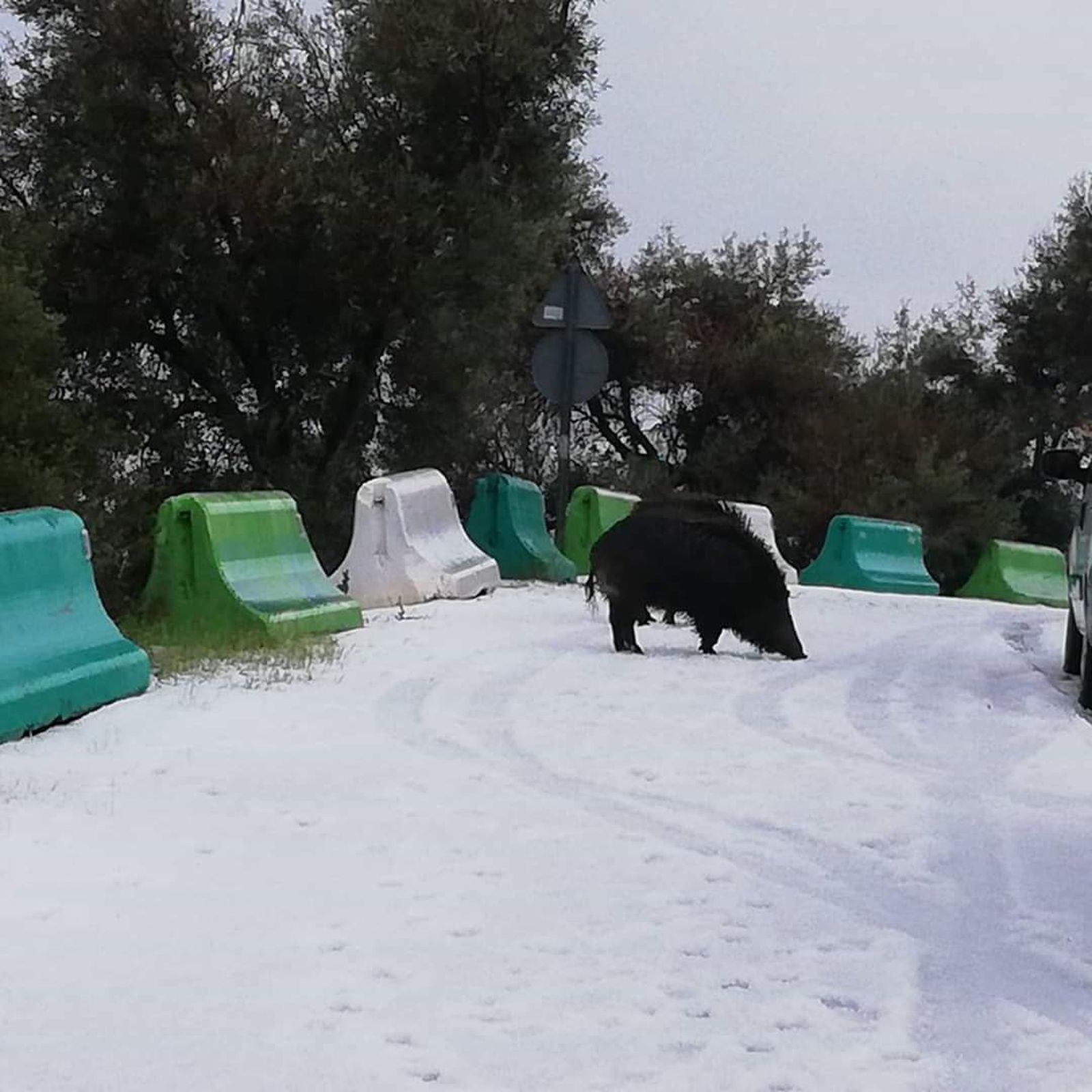 Las fotos de la granizada en Mijas