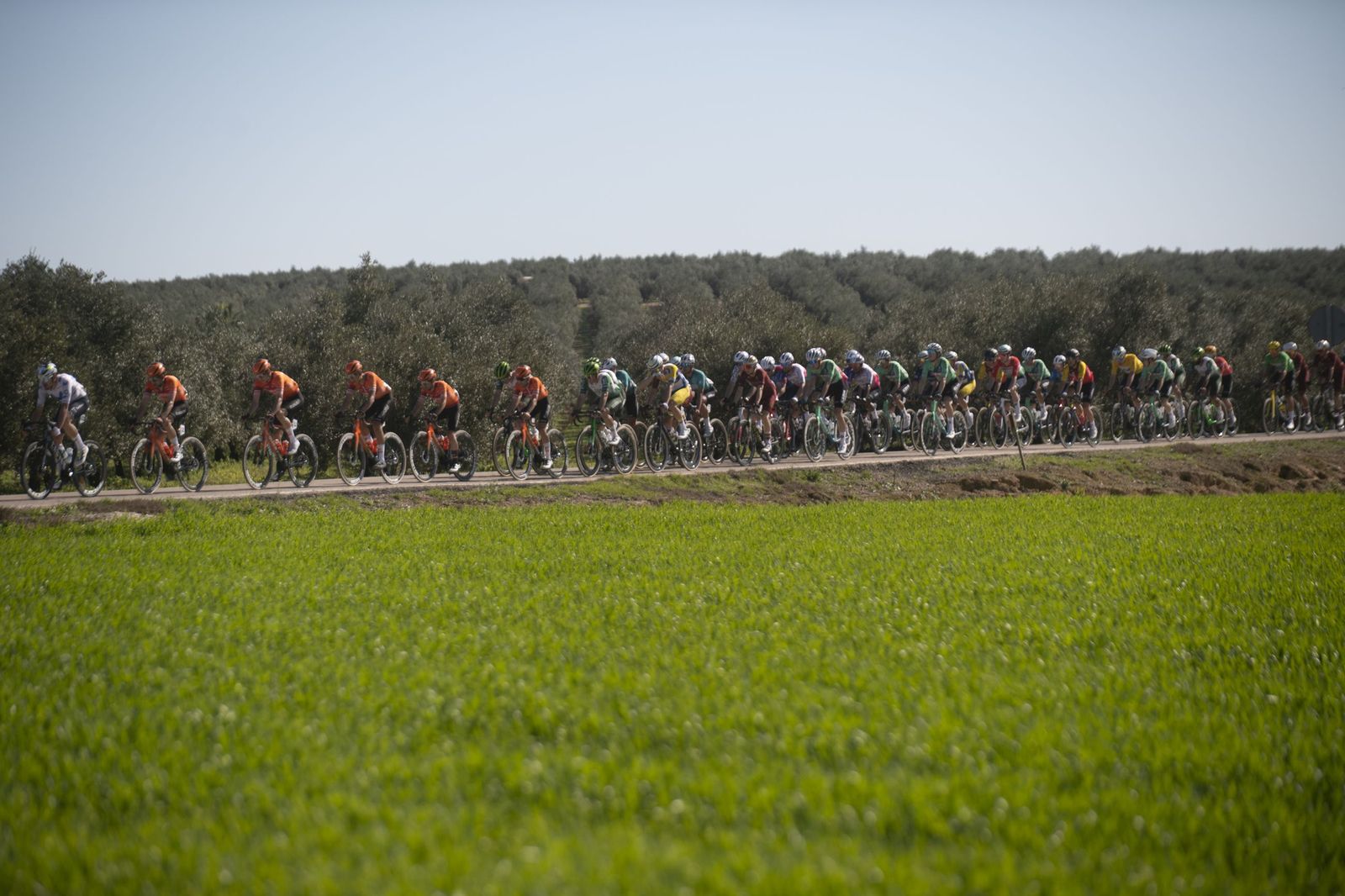 Las mejores fotos de la etapa final de la Ruta del Sol Vuelta a Andalucía con desenlace en Lucena