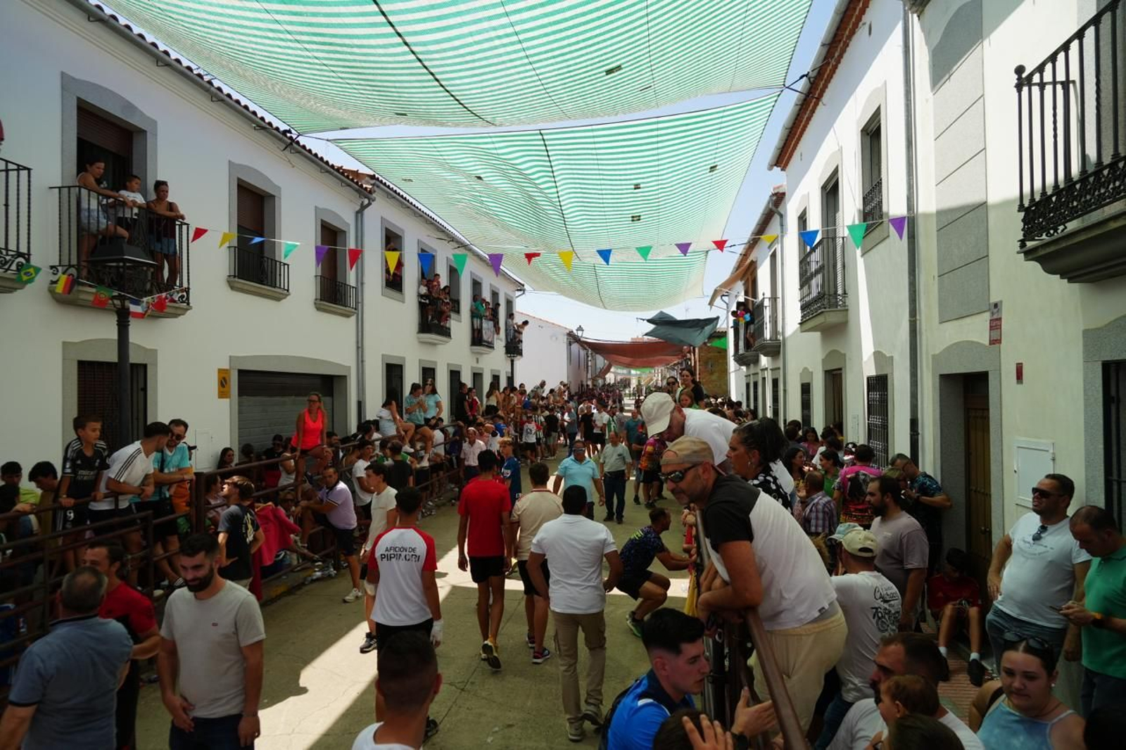 Las mejores imágenes del Día del Caballo y las Sevillanas de Dos Torres