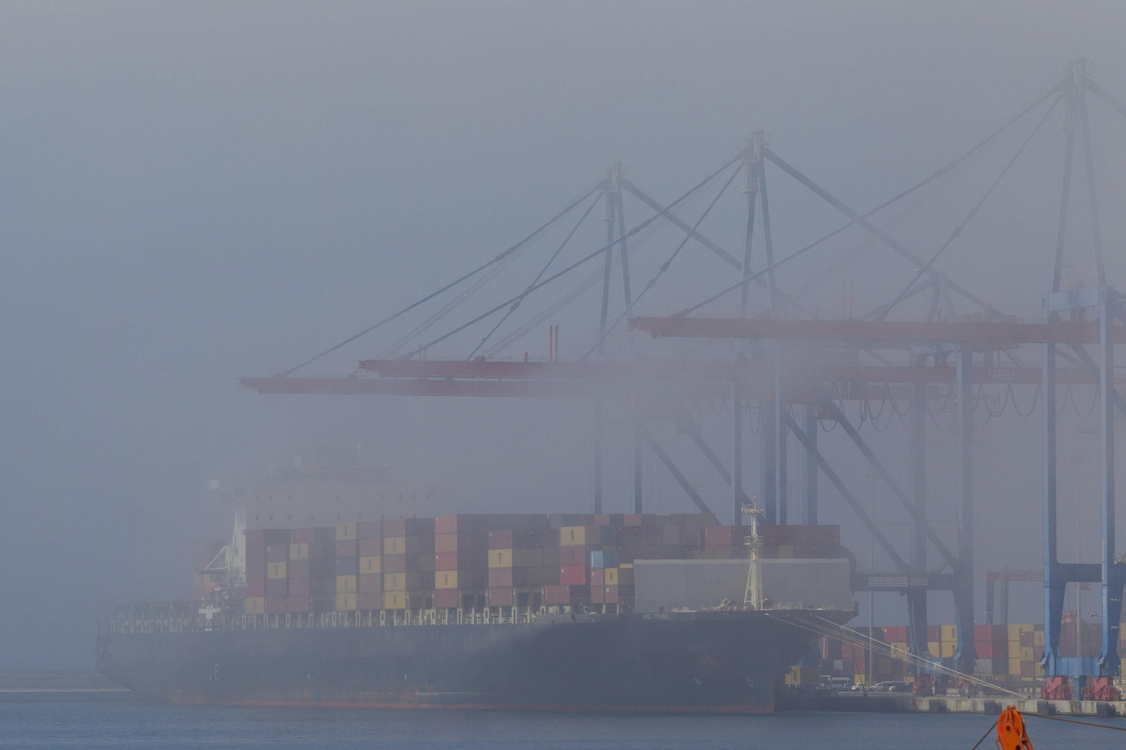 El taró provoca la prohibición del baño en las playas de Málaga, en imágenes