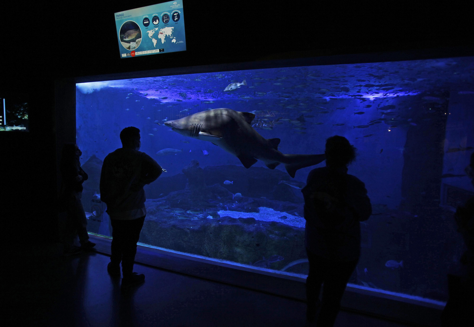 Semana de la Educación Ambiental en el Acuario de Sevilla