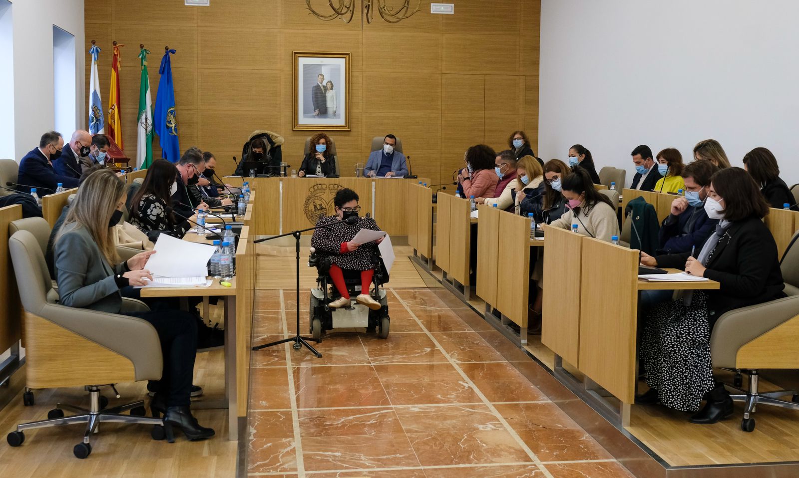 Lectura de la declaración institucional por el Día Internacional de las Personas con Discapacidad en el pleno de la Diputación de Huelva.