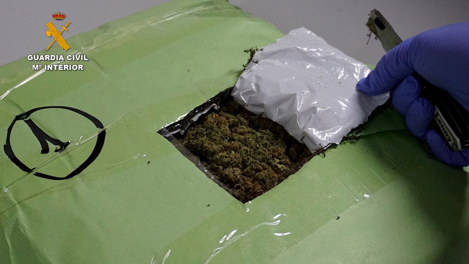 Parte de los cogollos intervenidos por la Guardia Civil.