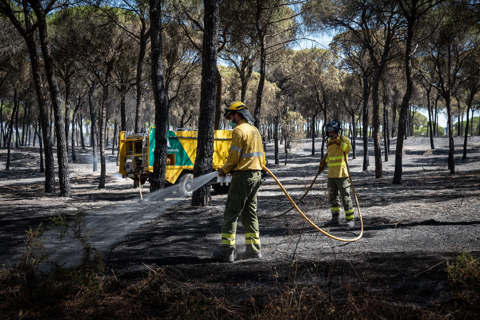 Imágenes de las labores de extinción del incendio de Bonares