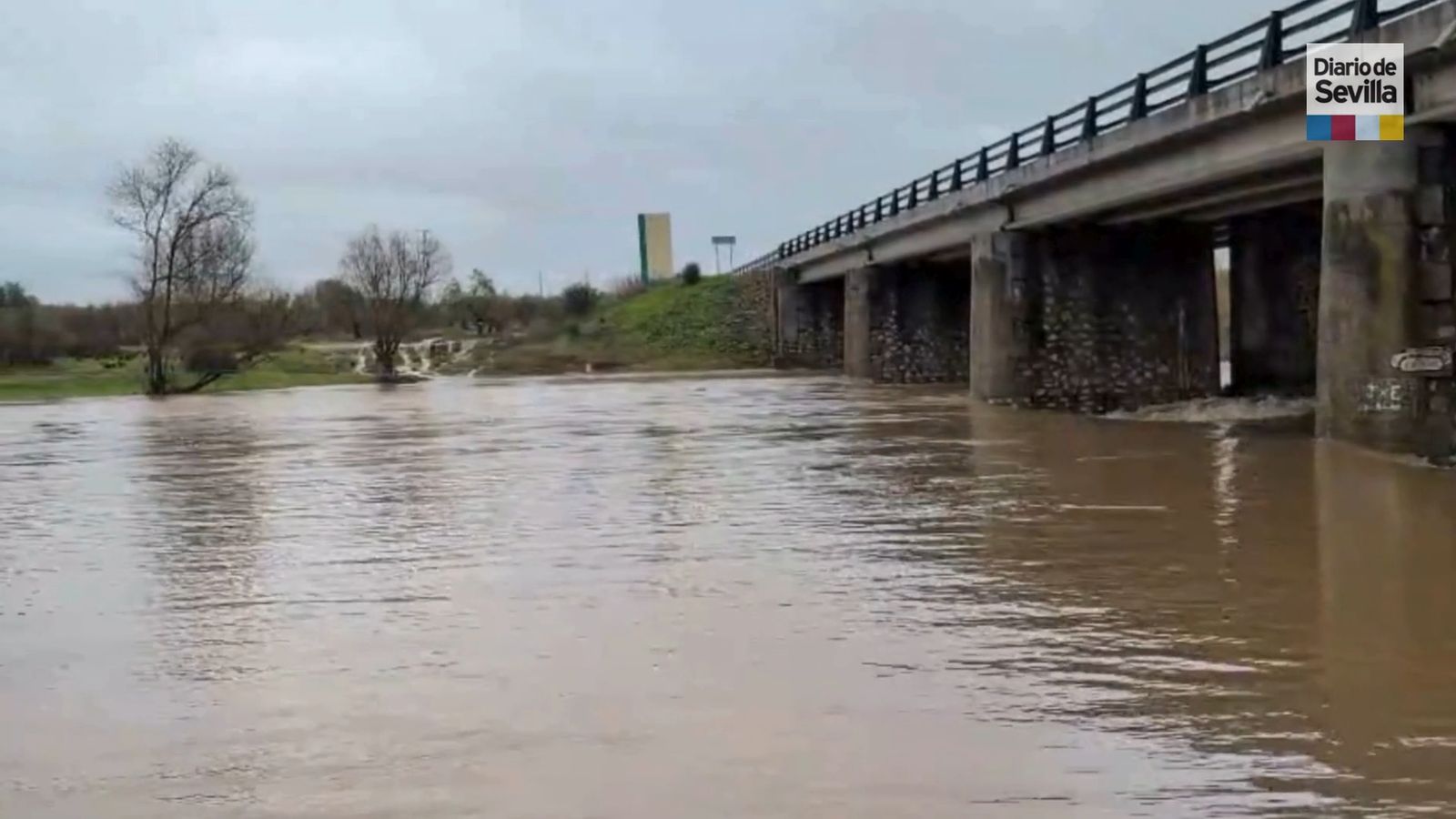 El río Guadiamar a su paso por Gerena y Aznalcóllar