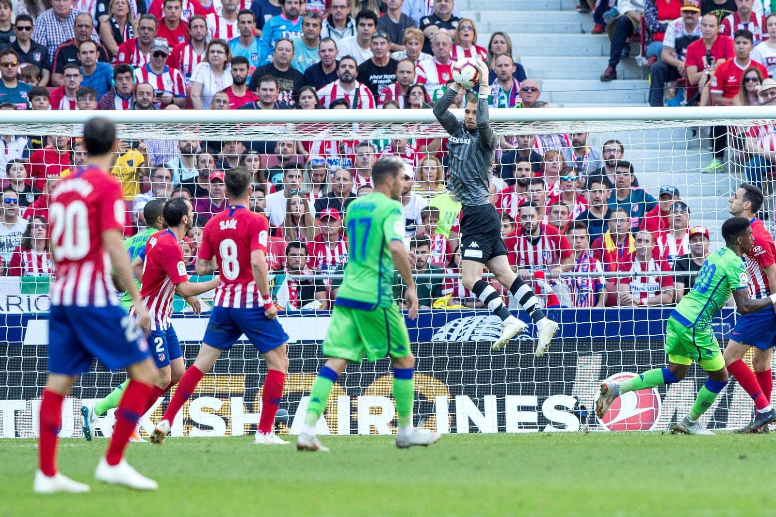 Las imágenes del Atlético de Madrid-Betis