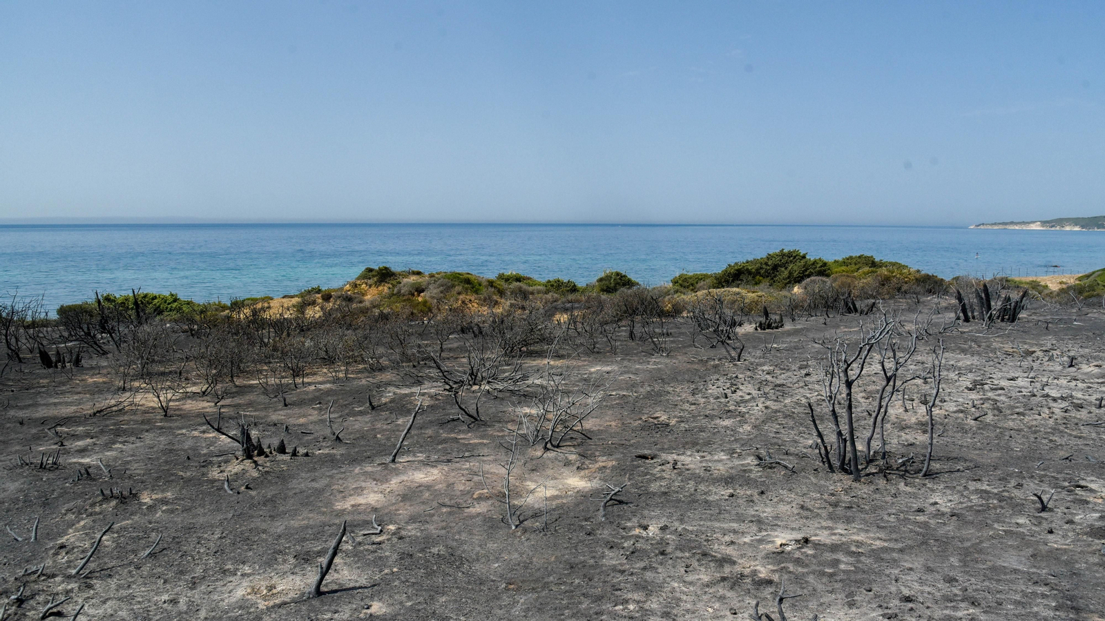 Fotos del incendio de Valdevaqueros que arrasó con 11 hectáreas de Parque Natural del Estrecho Las fotos de la zona afectada por el incendio de Valdevaqueros