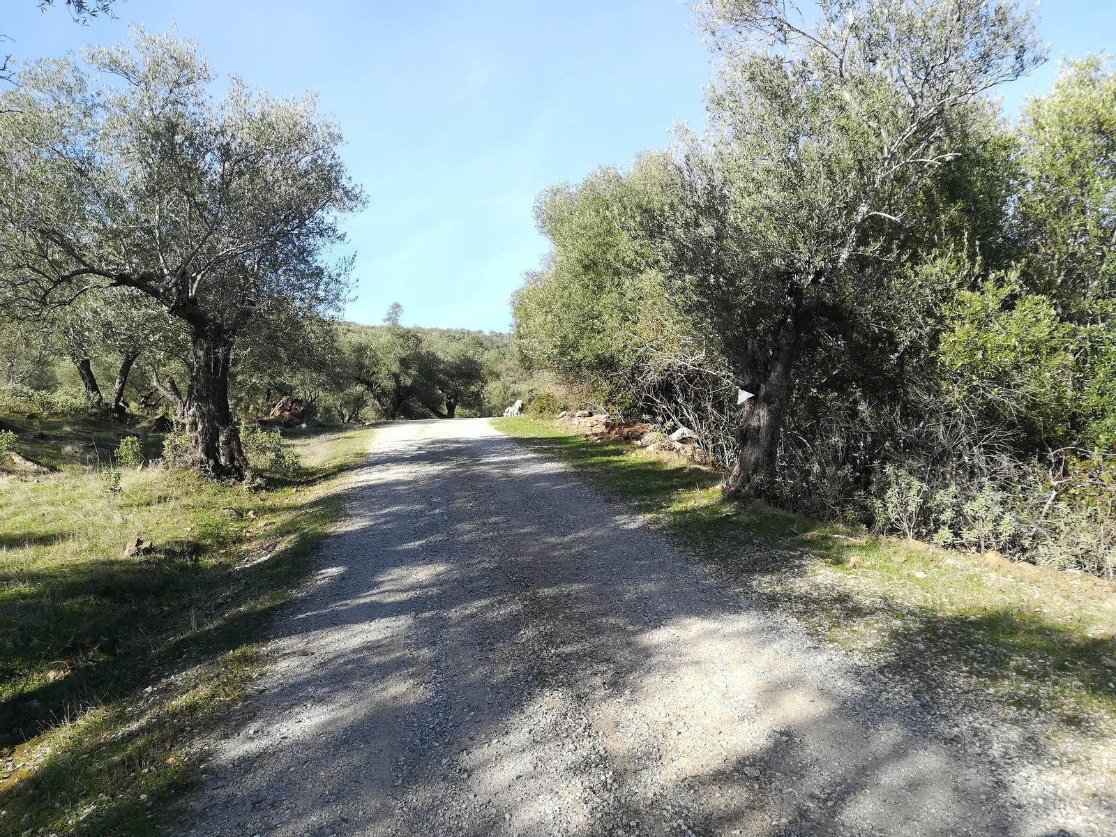La subida al Mojón en Santa Olalla del Cala