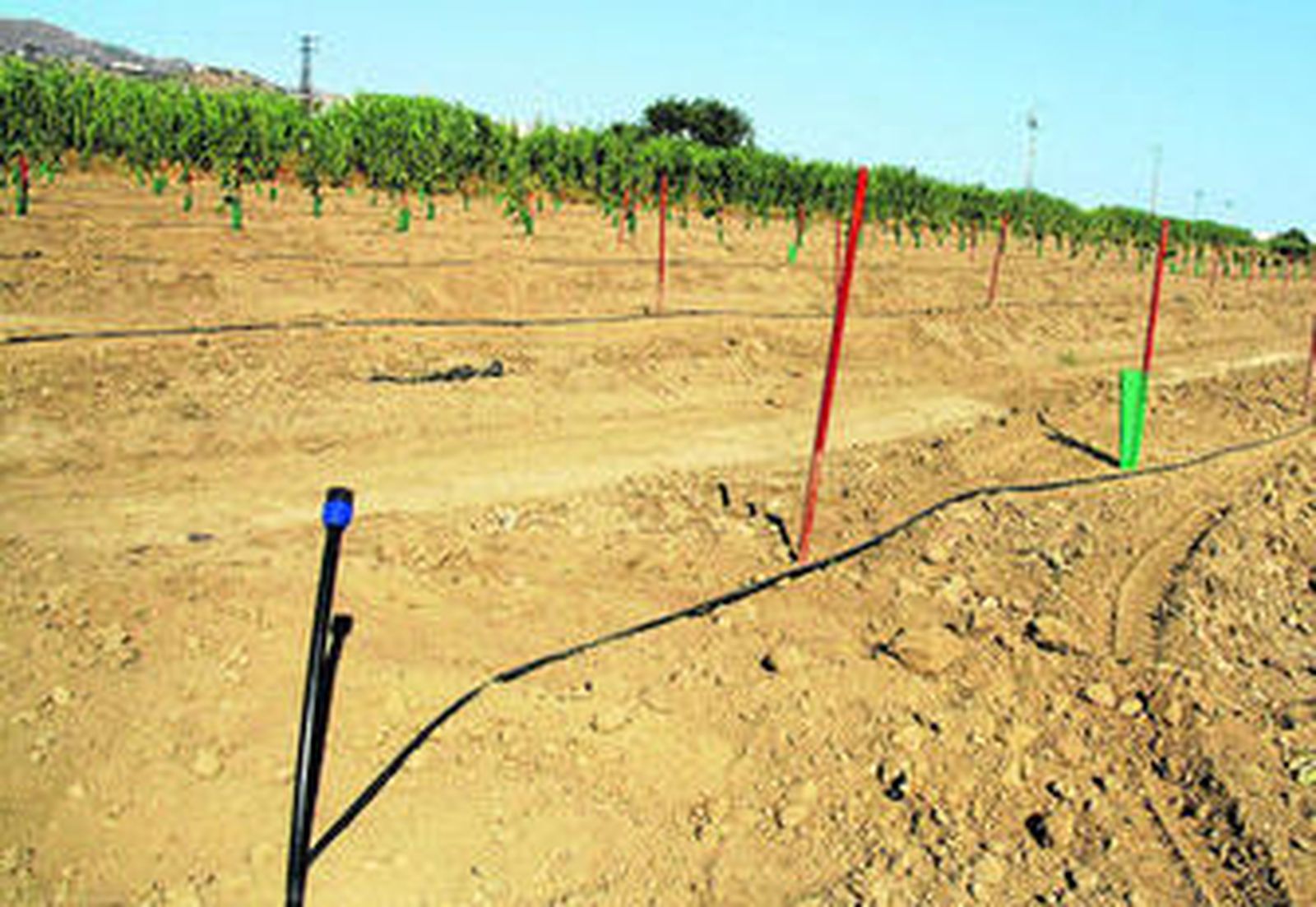 Imagen de la finca en la que se produjo el robo.