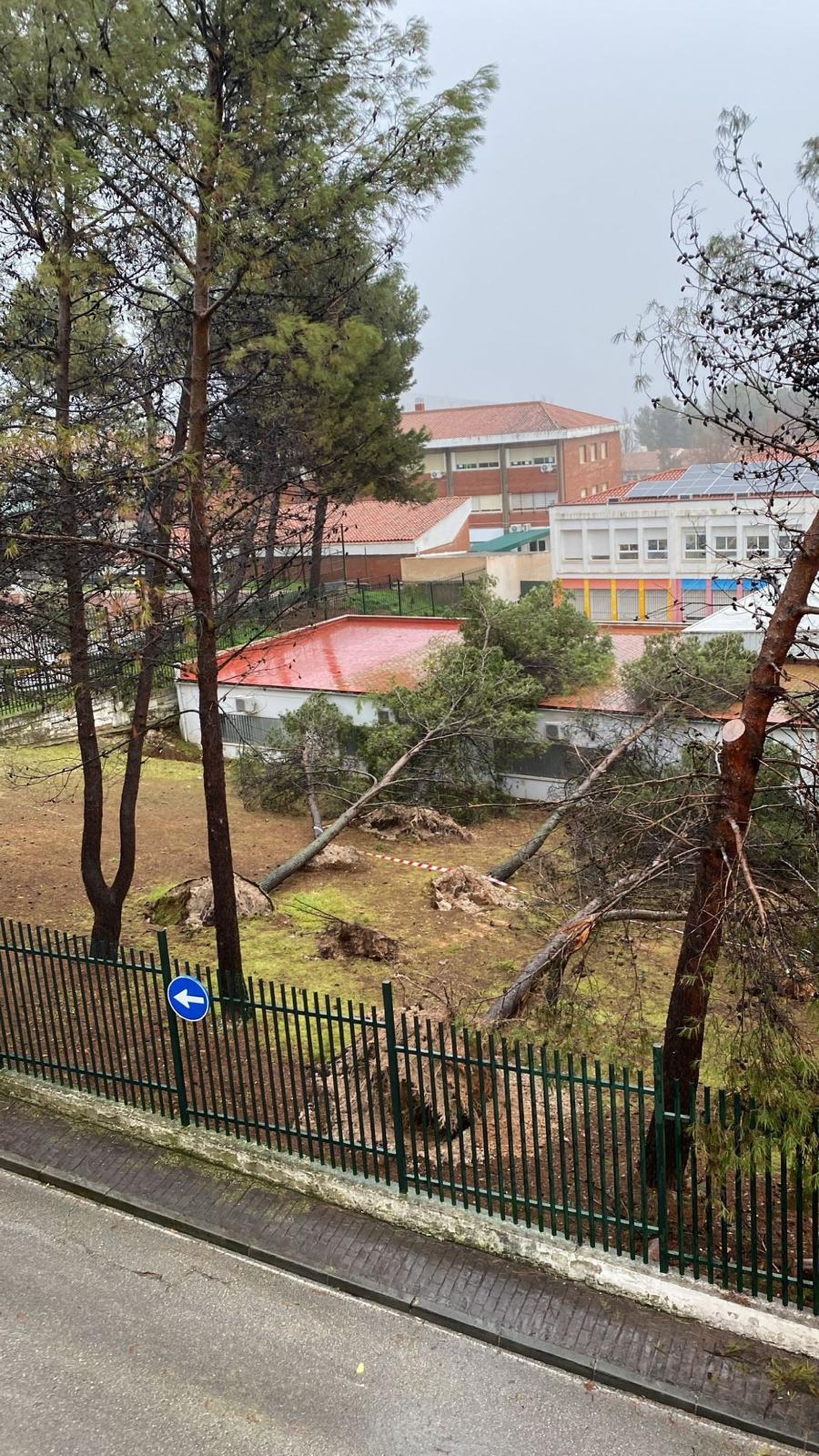 Colegio Ángel Carrillo de Priego