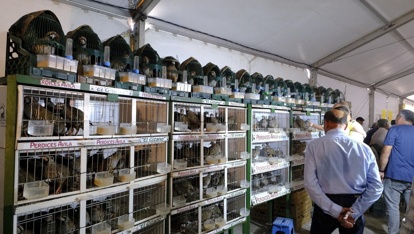 Las fotos de la Feria del Ganado y del Pájaro Perdiz en Albox