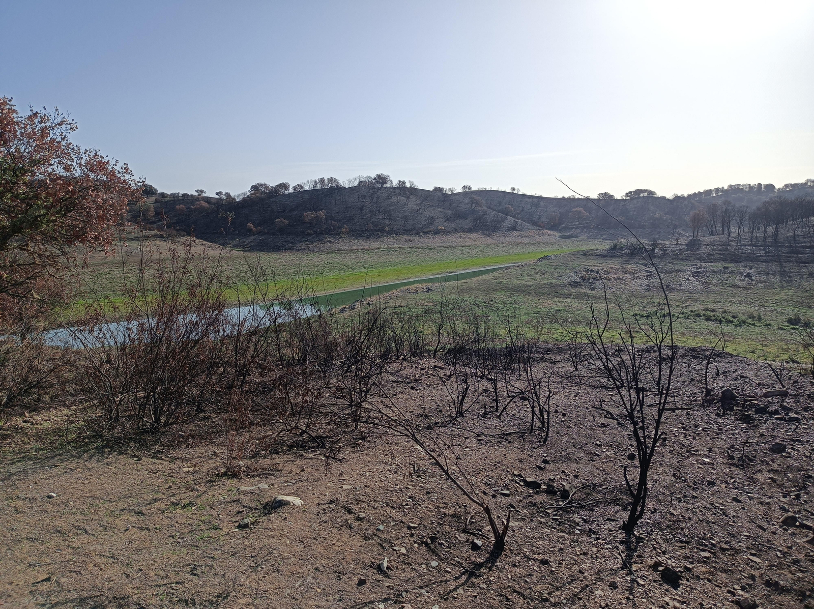 Fotos de la ruta de Los Brezales-Umbría de Santa Fe en el Ronquillo