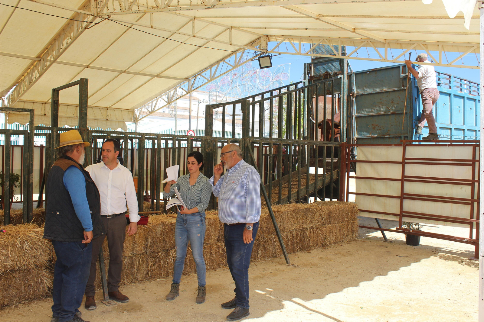 Jueves de feria de Vejer, en imágenes