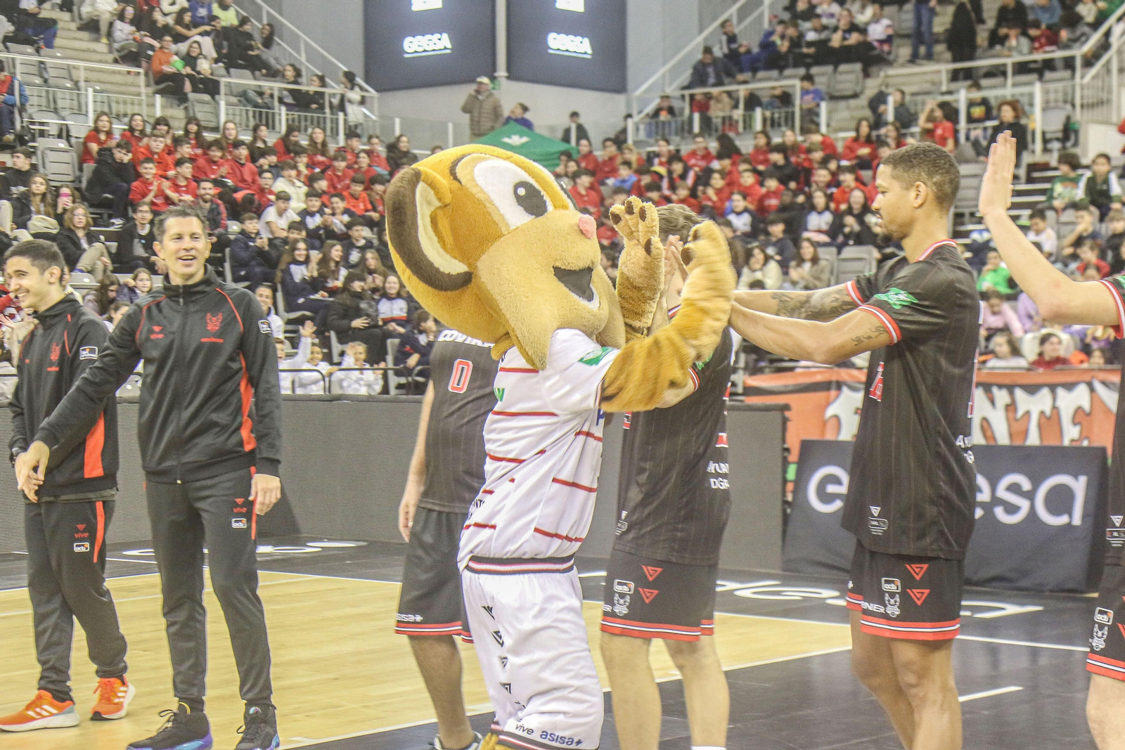 Las mejores imágenes del Fenix Camp en el Palacio