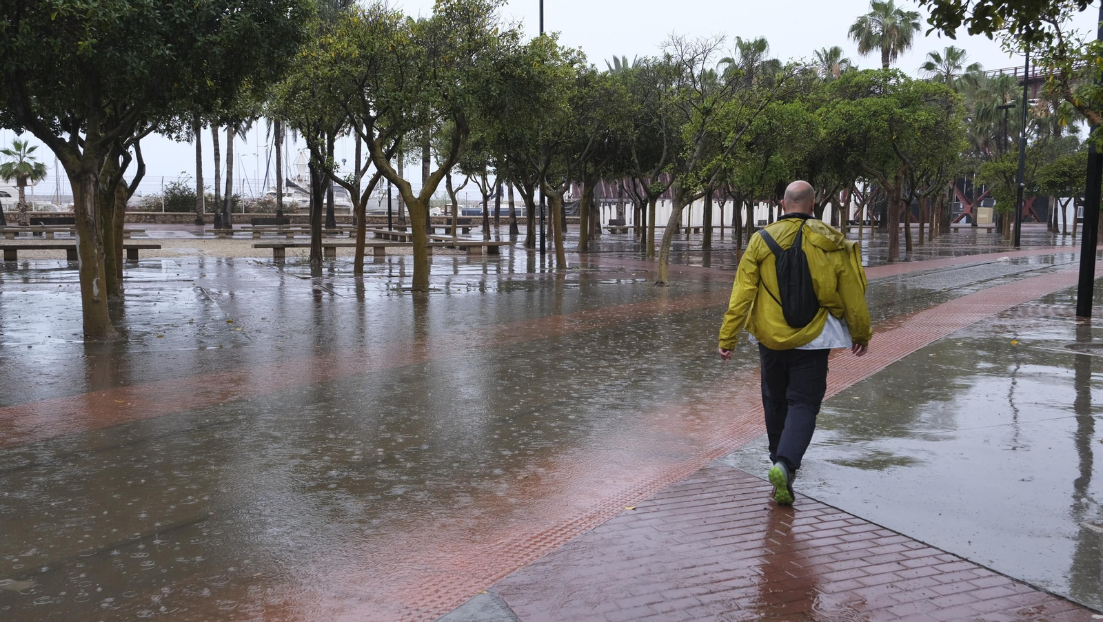 Los almerienses expresan su alegría por la lluvia