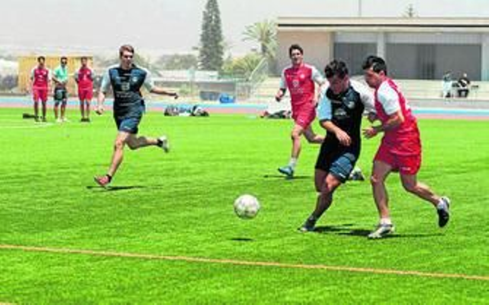 Ciencias del Deportes y Marketing se enfrentan en la final del Trofeo Rector.