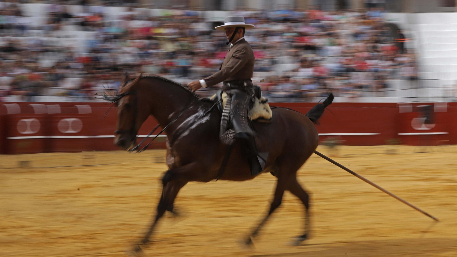 Fotos del espectáculo 'Cómo bailan los caballos andaluces' en San Roque