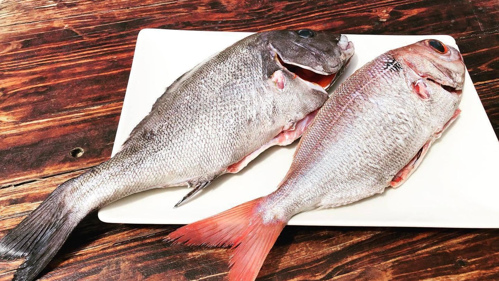 "Waves Beach" en Los Lances