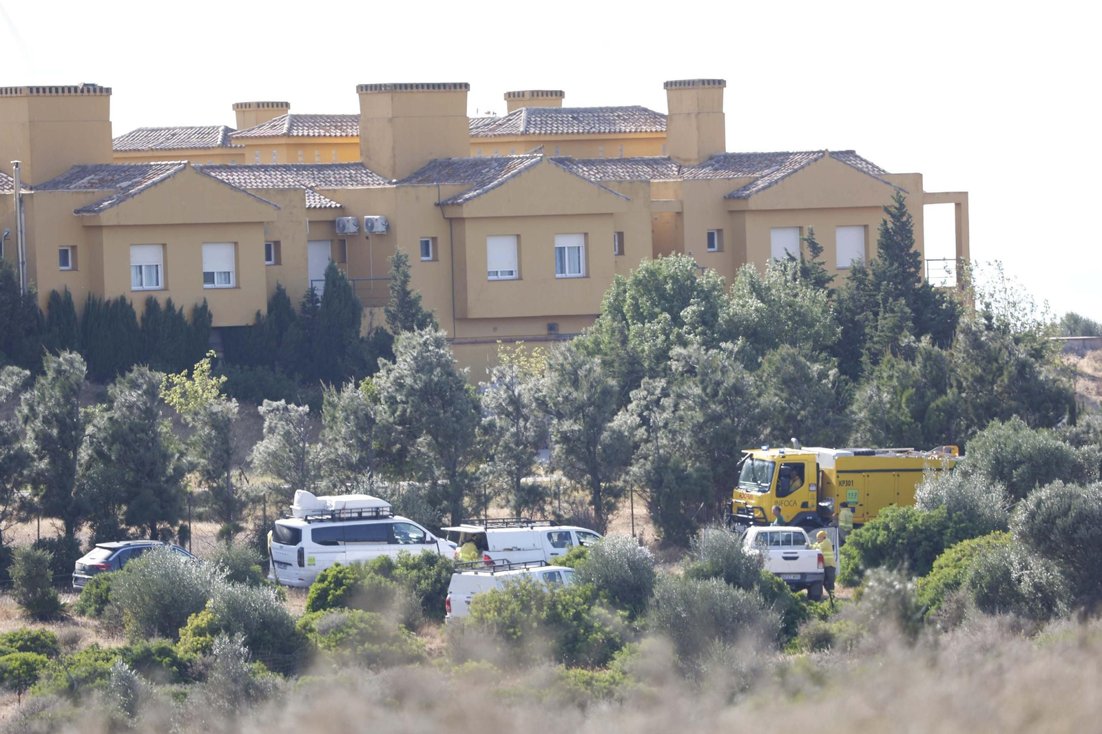 Las fotografías del incendio forestal en Facinas (Tarifa)
