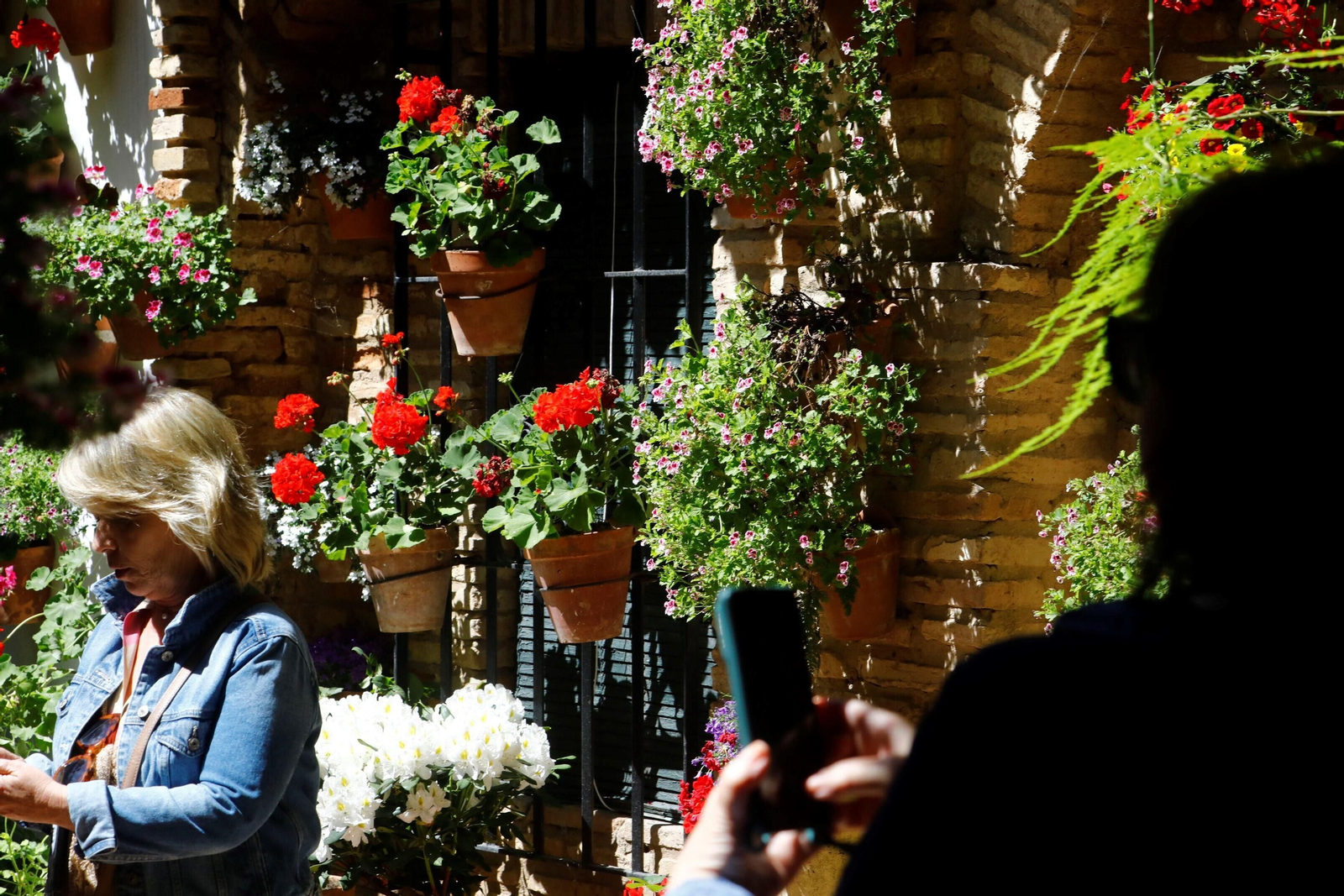 Los Patios de la Ruta de Santiago-San Pedro, en imágenes