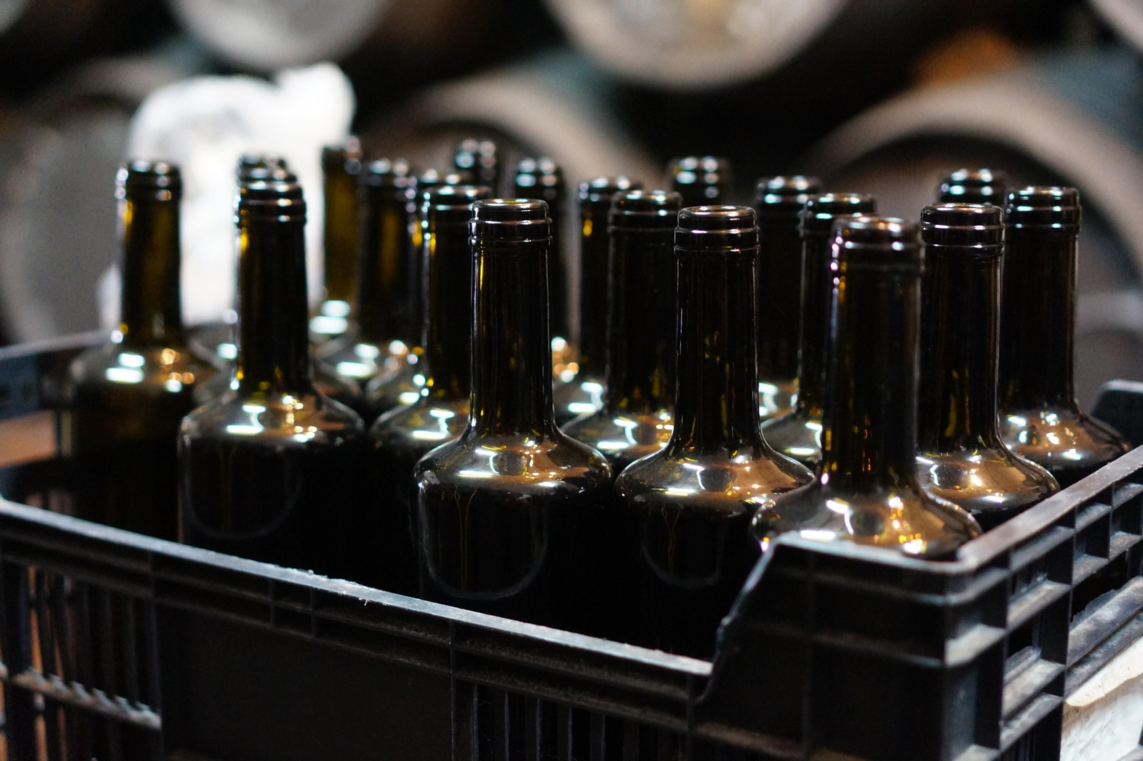 Un recorrido en fotografías por el vino nuevo de Moriles