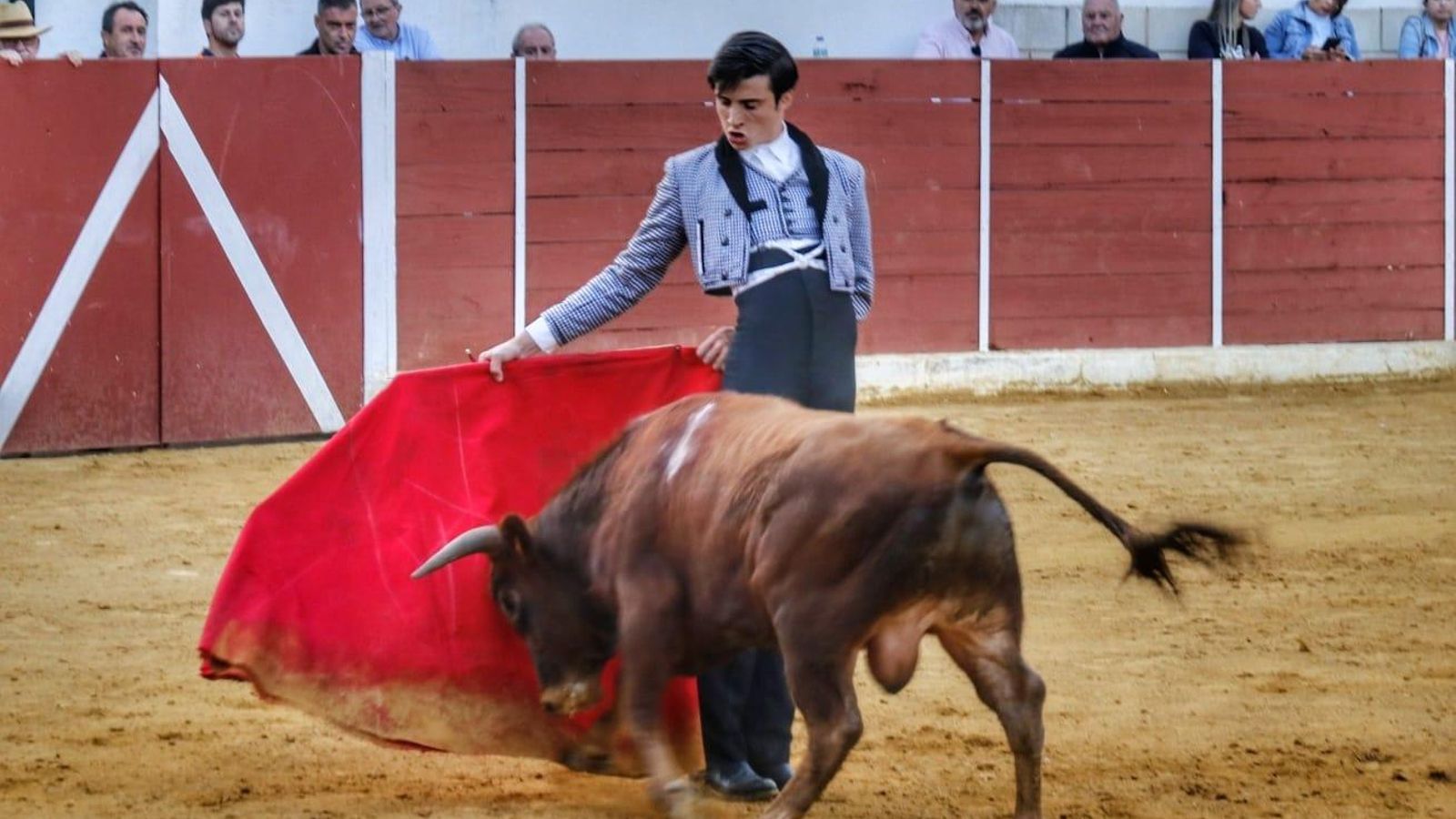 Alfonso Morales, en una faena de esta temporada.