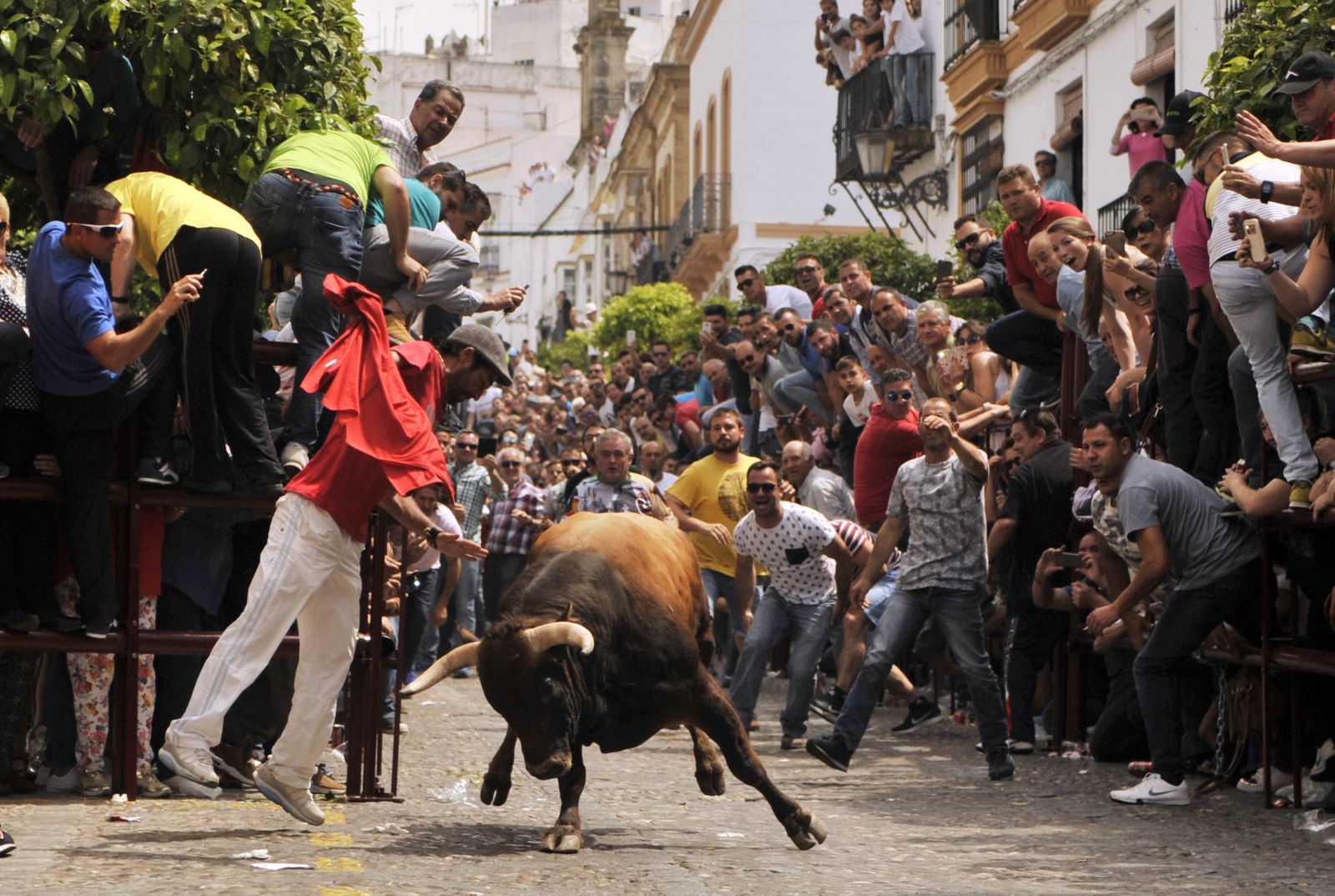 Las imágenes del Toro del Aleluya