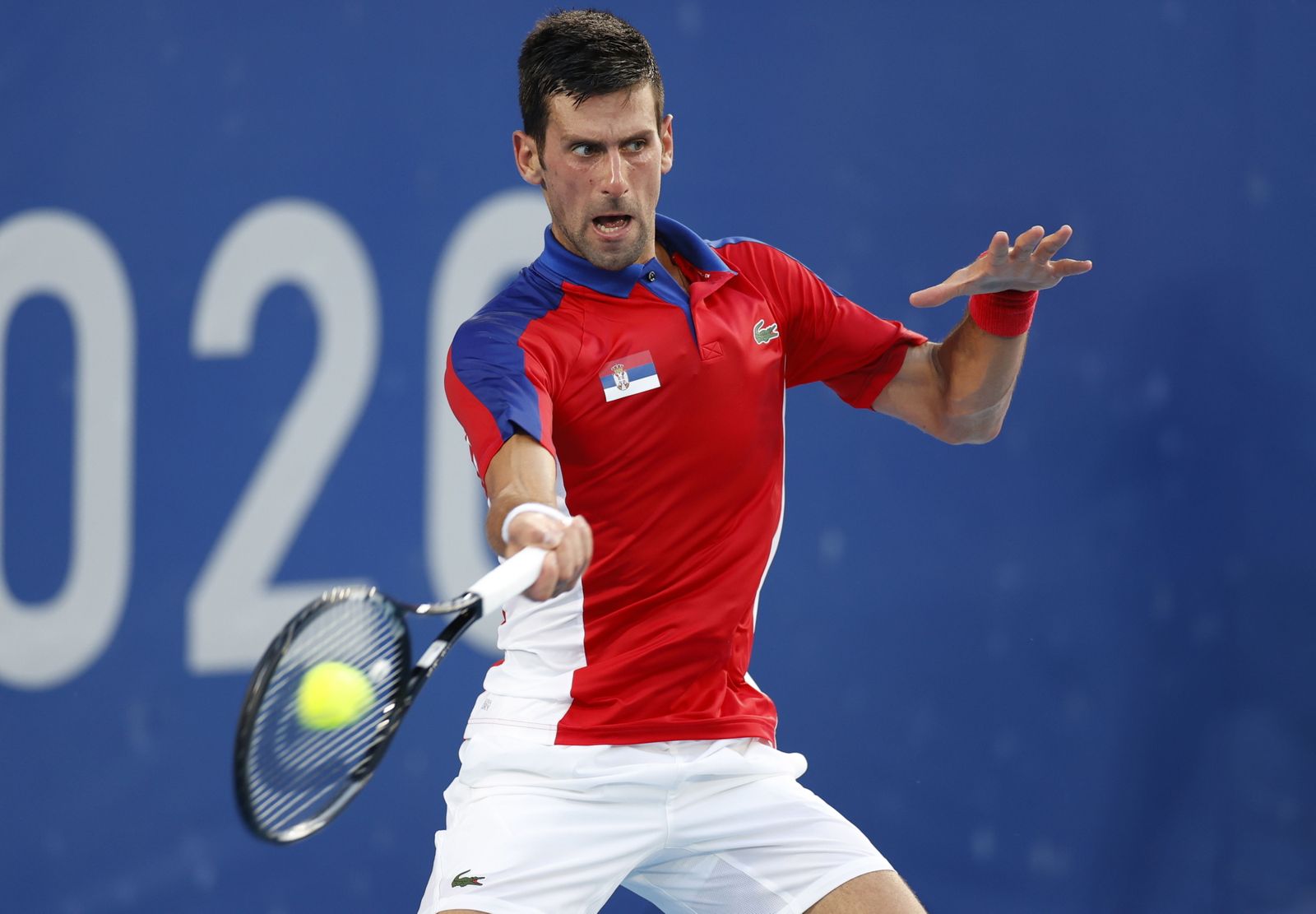 Las fotos del Davidovich-Djokovic