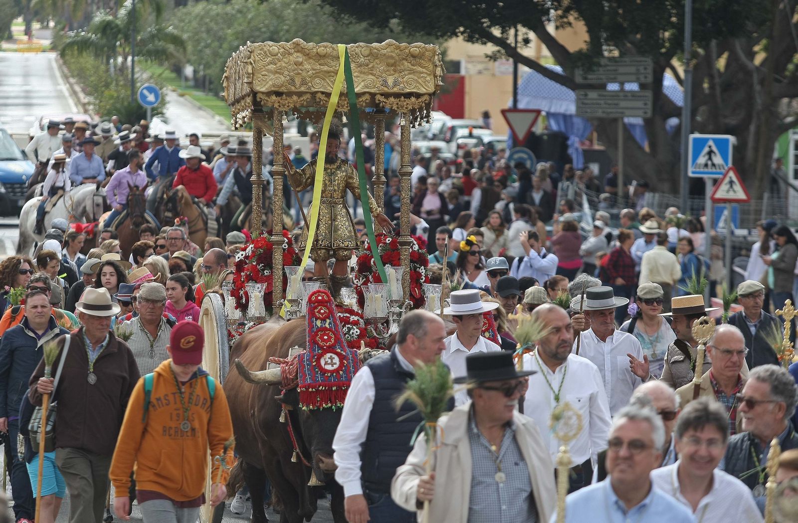 La Romería de Los Barrios, en imágenes