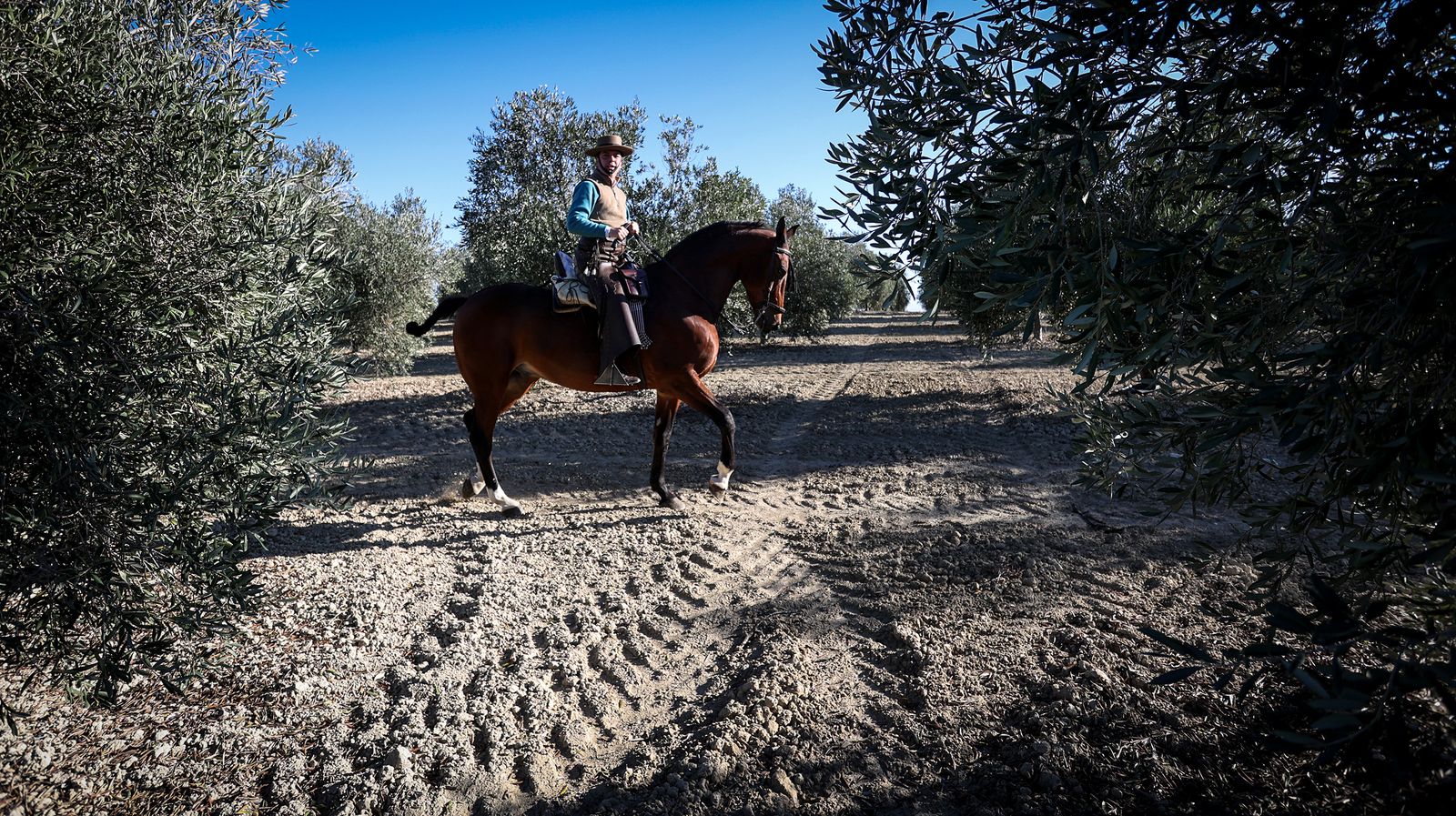 I Ruta de Carruajes Viñas de Jerez