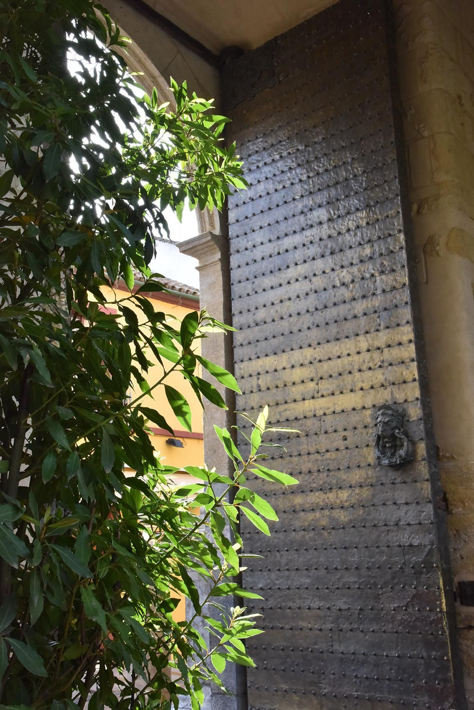 La nueva ornamentación floral del Patio de los Naranjos de la Mezquita de Córdoba, en imágenes