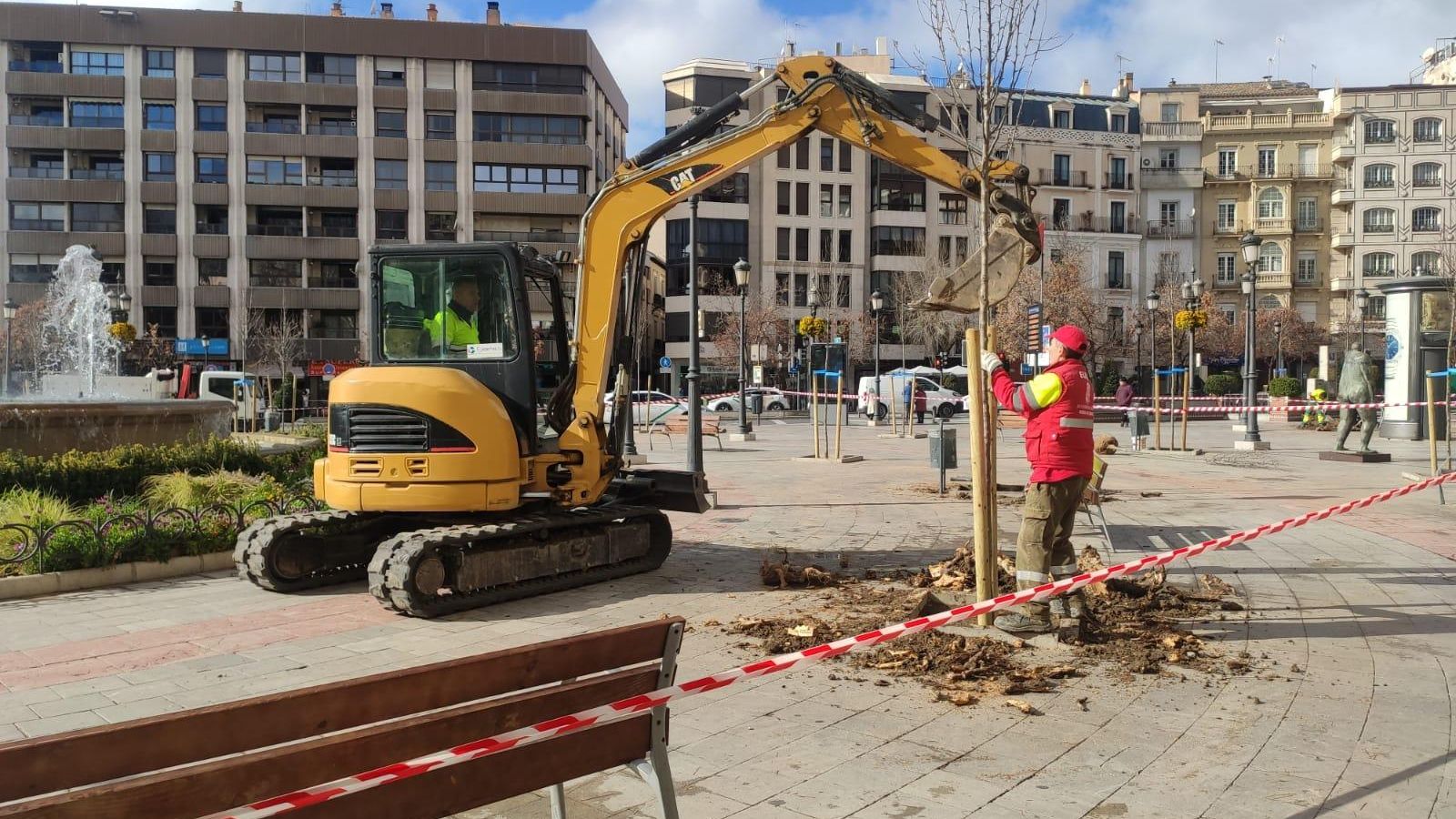 La semana pasada se plantaron nuevos árboles.