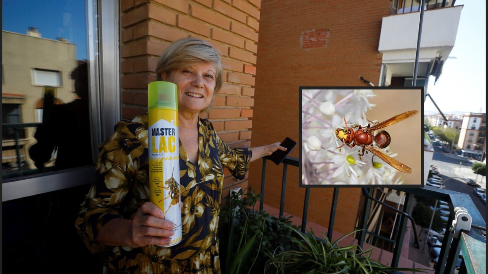 Una vecina muestra un aerosol insecticida desde el balcón de su vivienda, uno de los productos utilizados por particulares ante la presencia de avispas invasoras en entornos urbanos.