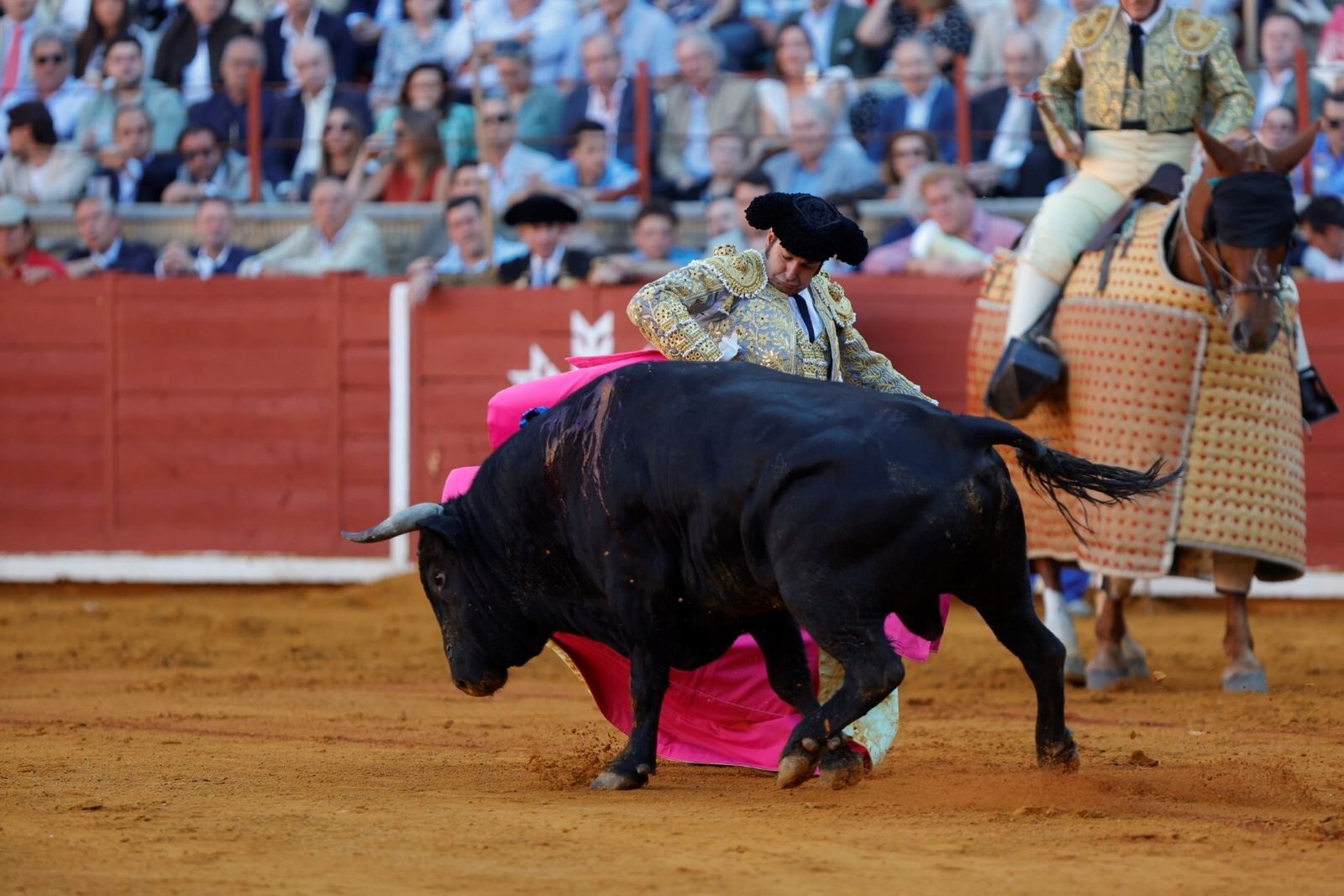 Las mejores fotos de la corrida de Morante, Ortega y Roca Rey en la Feria Taurina de Córdoba