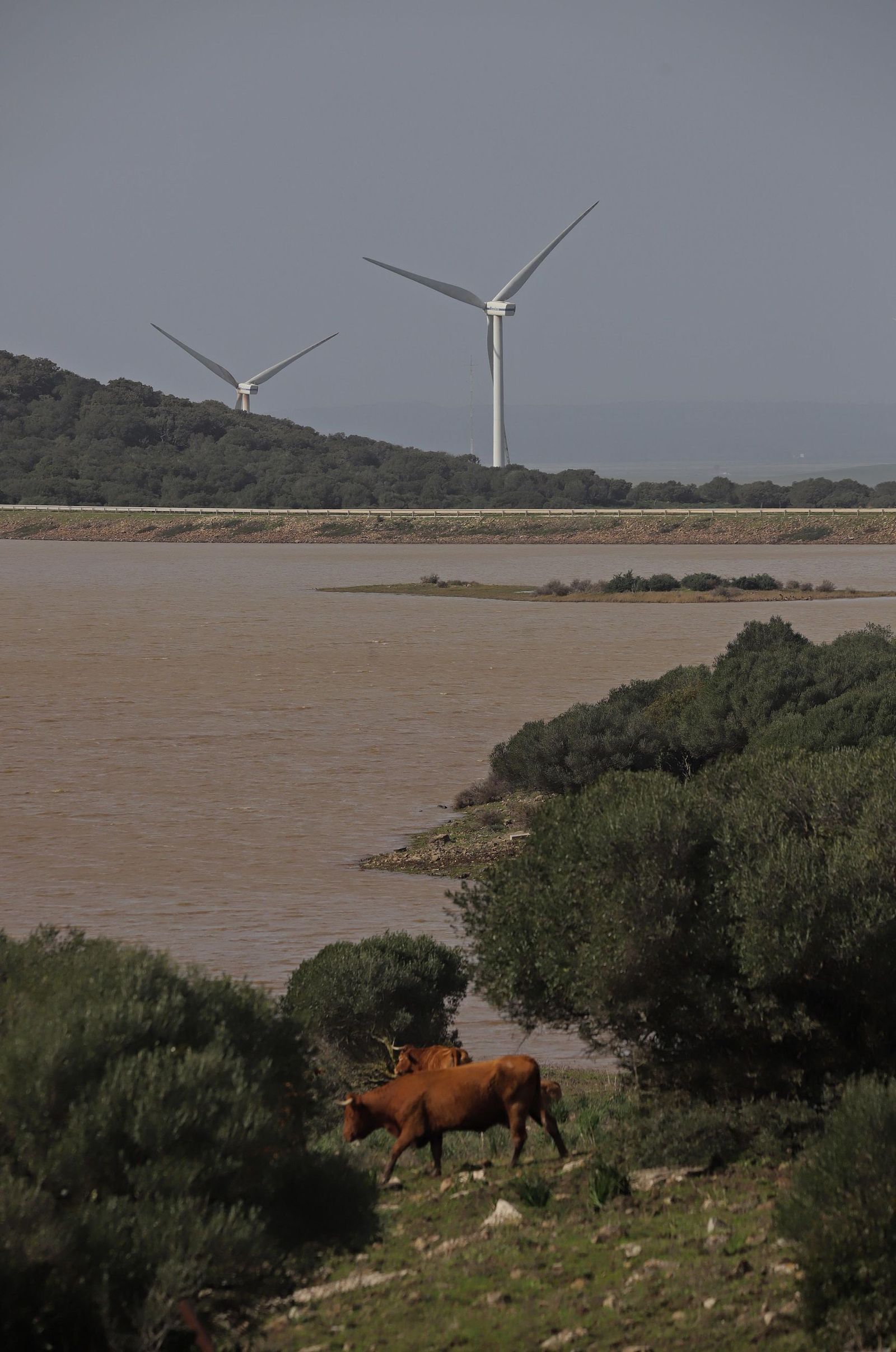 Fotos del embalse de Almodóvar en Tarifa