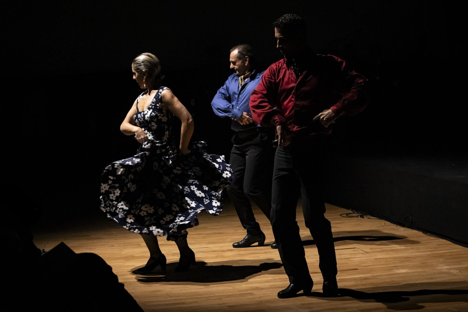 Las imágenes de los Premios Nacionales de Flamenco de la Cátedra de Flamencología
