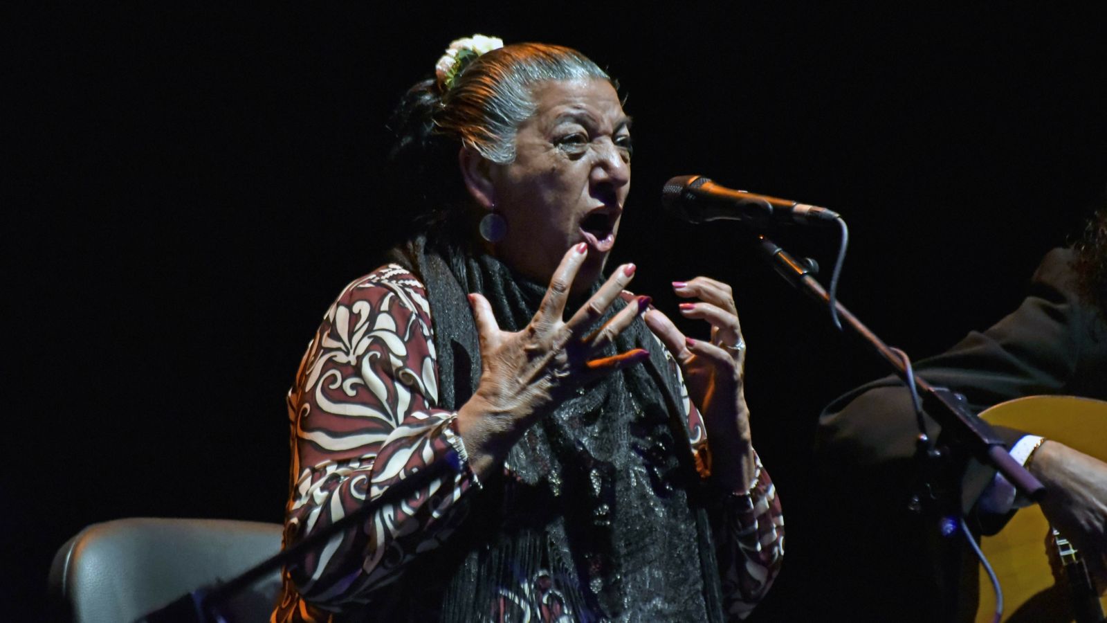 Las fotos de XXVII edición de La Palma de Plata