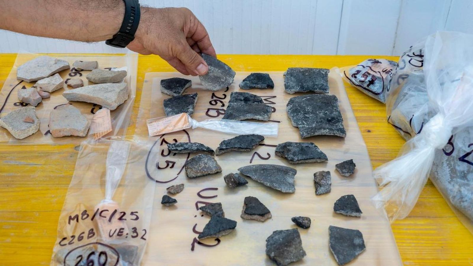 Nuevos hallazgos descubiertos durante la excavación.