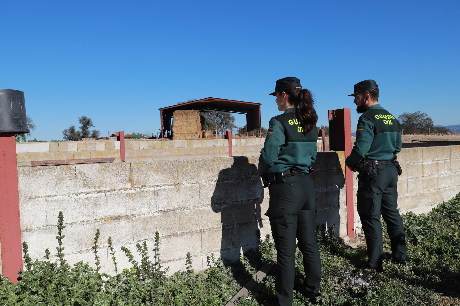 Una jornada con la Guardia Civil de Pozoblanco, en imágenes